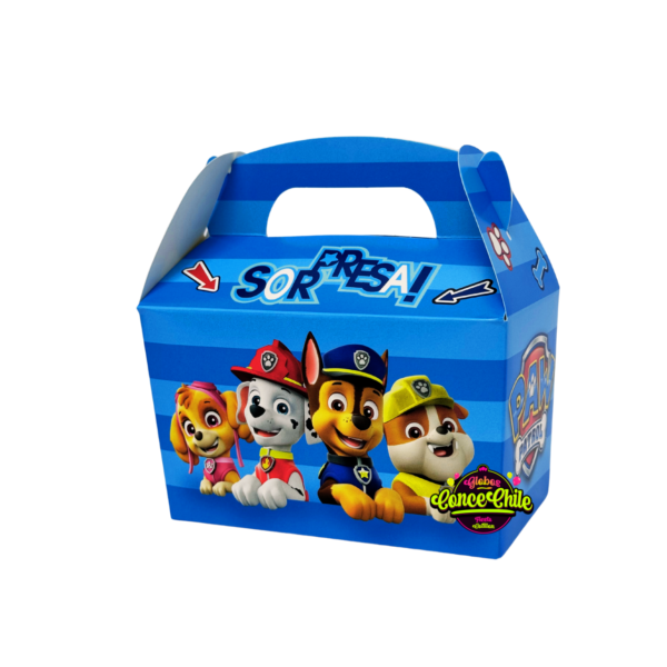 Set 6 cajas sopresa paw patrol bp