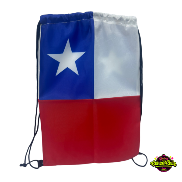 MORRAL BANDERA CHILENA