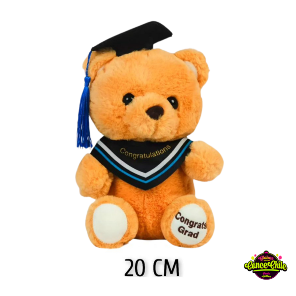 PELUCHE GRADUACIÓN 20CM